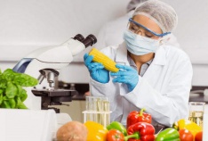 Tìm hiểu ngàn Công nghệ thực phẩm học gì? Cơ hội việc làm ngành Công nghệ thực phẩm